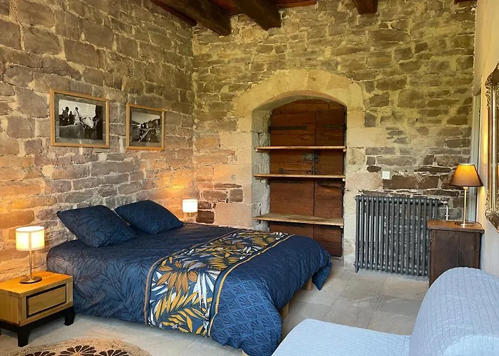 Chateau De Latour Sur Sorgue * Marnhagues-et-Latour